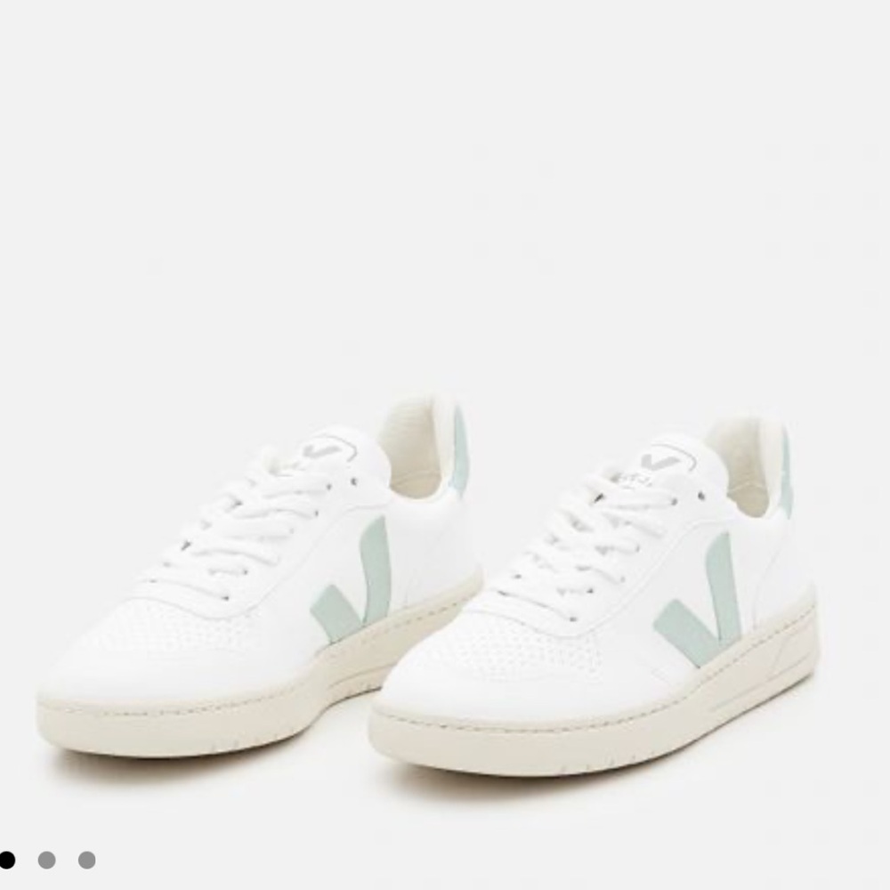 Veja v10 leather sneakers